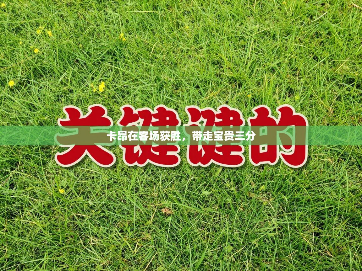 卡昂在客场获胜，带走宝贵三分  第1张